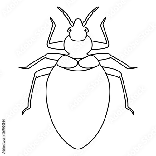 bed bug