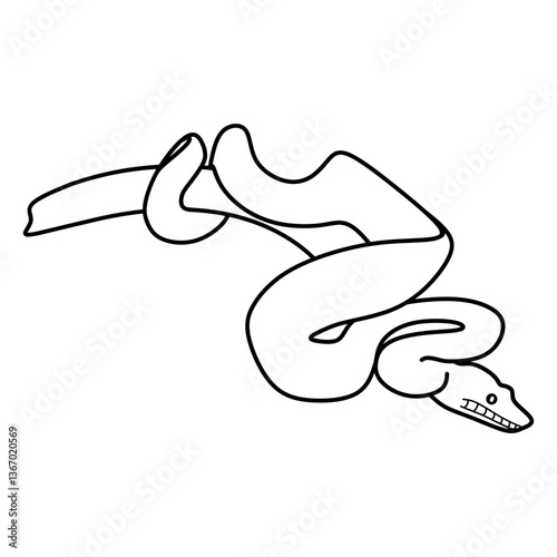 boa