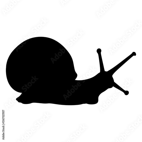 snail