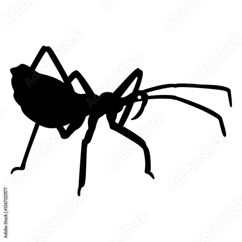 assassin bug