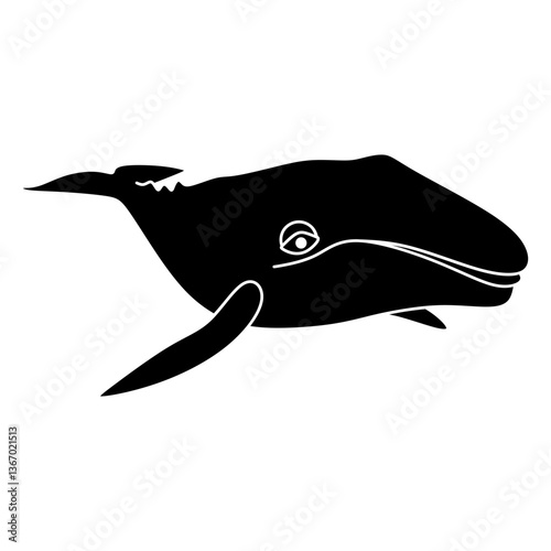 whale