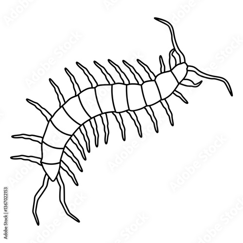 centipede