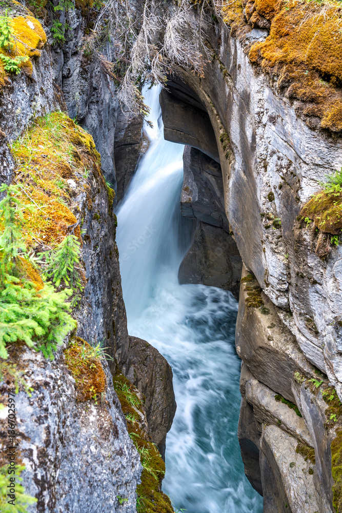 Breathtaking Maligne Canyon in Jasper National Park, offering a scenic and adventurous landscape