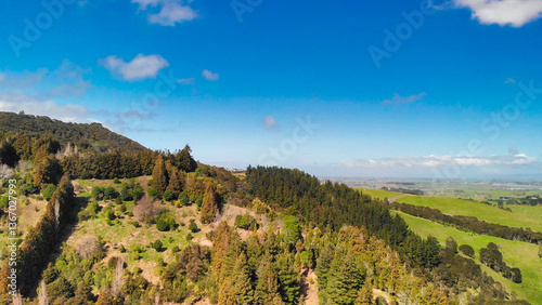 Bird’s-eye perspective of dense forest in New Zealand surrounded by natural beauty