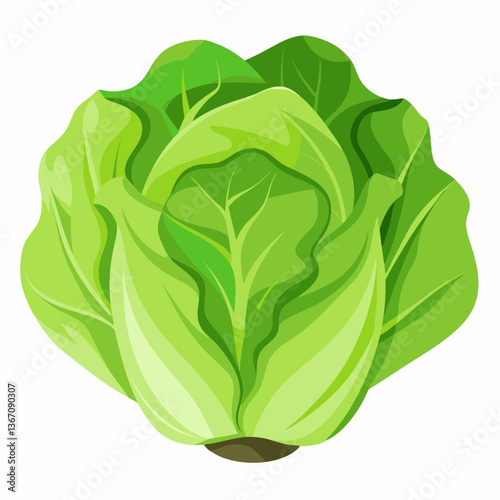 Lettuce