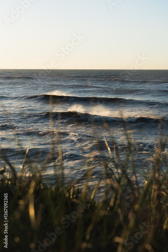 Argentinian coast, Chapadmalal, Buenos Aires