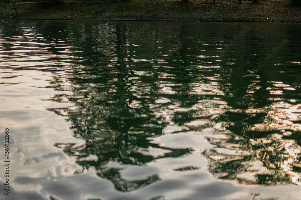 reflection of park trees in the lake water on a sunny day. rest and relaxation reflection of park trees in the lake water on a sunny day. rest and relaxation