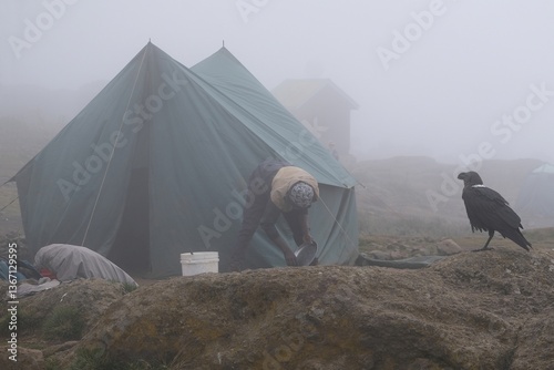 Obraz na płótnie Corvus albicollis (Large-billed raven) sitting on rock next to tent and working man in fog on Shira Cave Camp, Kilimanjaro, Machame Route, Tanzania w salonie