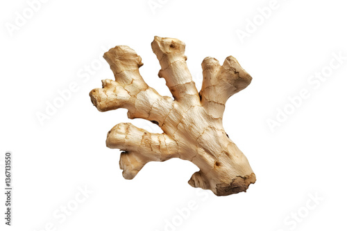 Fototapeta Naklejka Na Ścianę i Meble -  Fresh Ginger Root Isolated Black Background Culinary Ingredient,