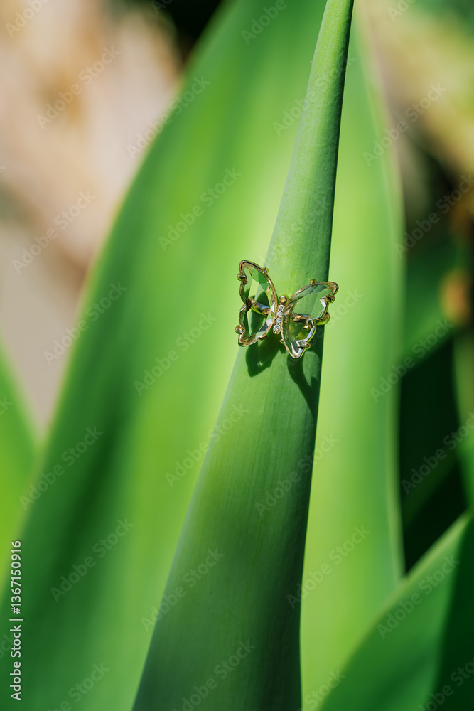 Fototapeta premium Ring on a green leaf