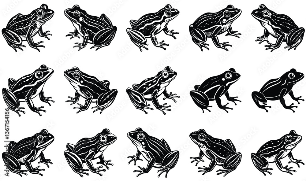 Obraz premium a frog vector
