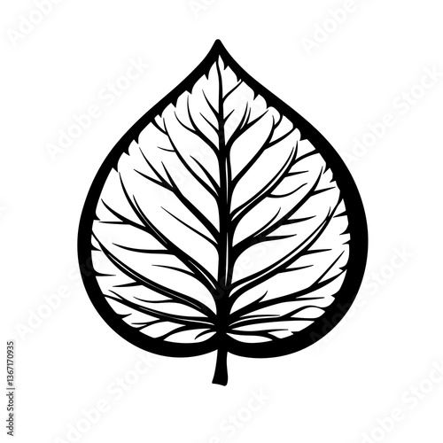Leaf with a black outline and white veins