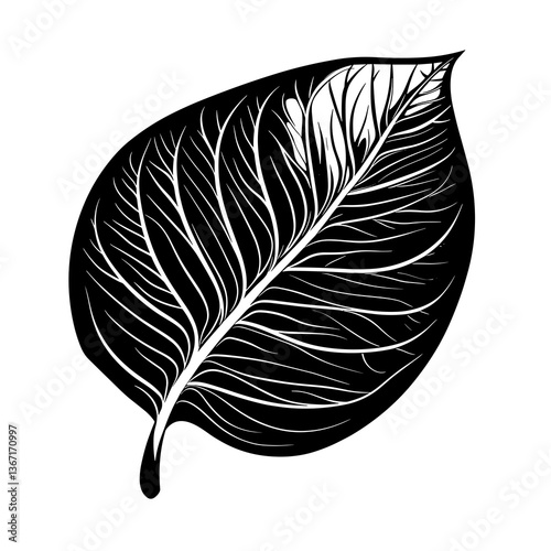 Leaf with a black outline and white veins