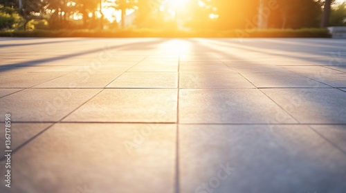 Wallpaper Mural Sunlit paved pathway with tree shadows at sunset. Torontodigital.ca