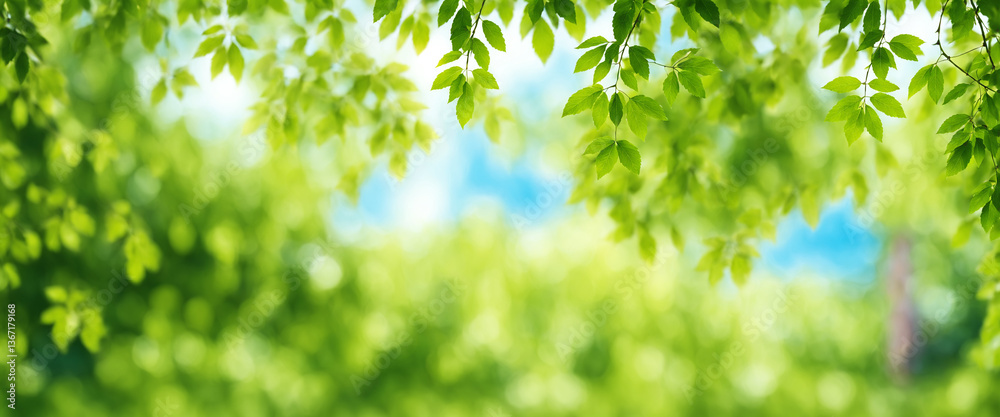 green leaves bokeh, natural spring backdrop, blurred foliage texture, organic concept green leaves bokeh, natural spring backdrop, blurred foliage texture, organic concept