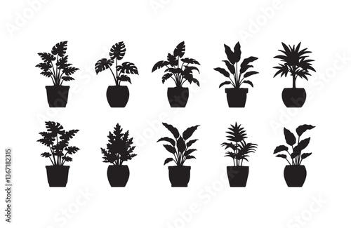 Floral vase decoration with elegant flowers