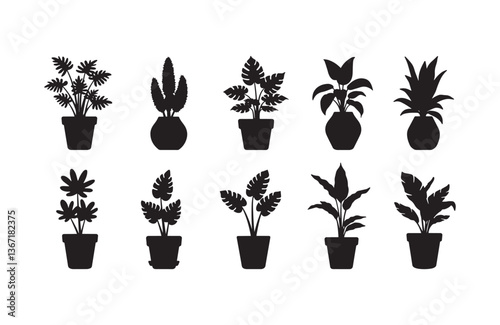 Silhouette of blooming flowers in vases