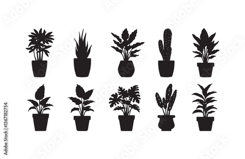 Silhouette of blooming flowers in vases
