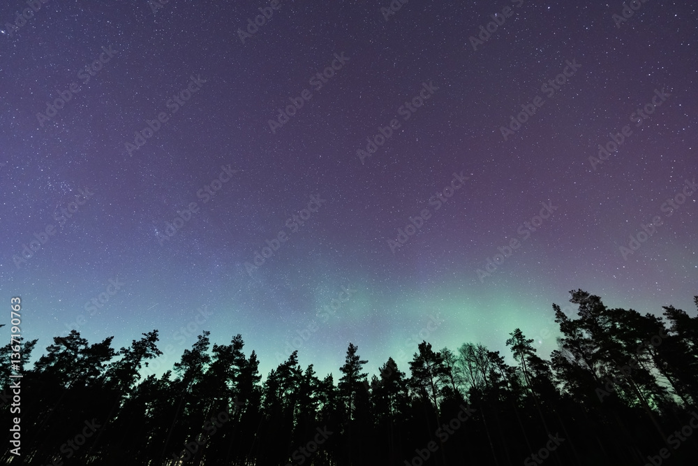 Fototapeta premium Estonia's night sky: a scattering of stars and faint greenish northern lights over the dark silhouette of the forest.