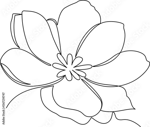 Delicate flower with petals open one line art vector