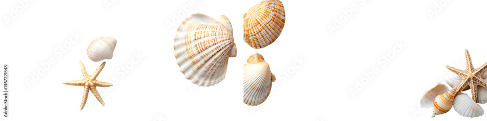 Fototapeta premium An assortment of diverse seashells and starfish displayed on a sandy beach representing the beauty and diversity of the ocean s marine life