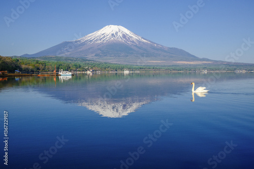 富士山と山中湖と白鳥