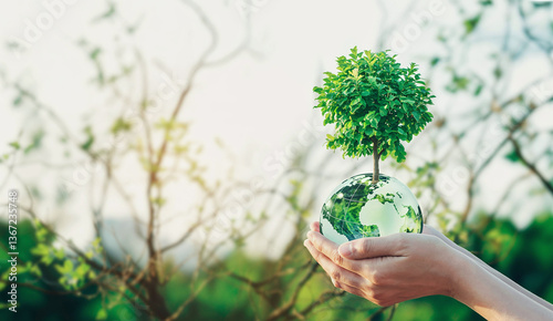 Delicate Hands Embracing a Verdant Globe: A Symbol of Eco-Consciousness and Sustainable Growth, Reflecting a Commitment to Environmental Stewardship and a Brighter Future for Generations