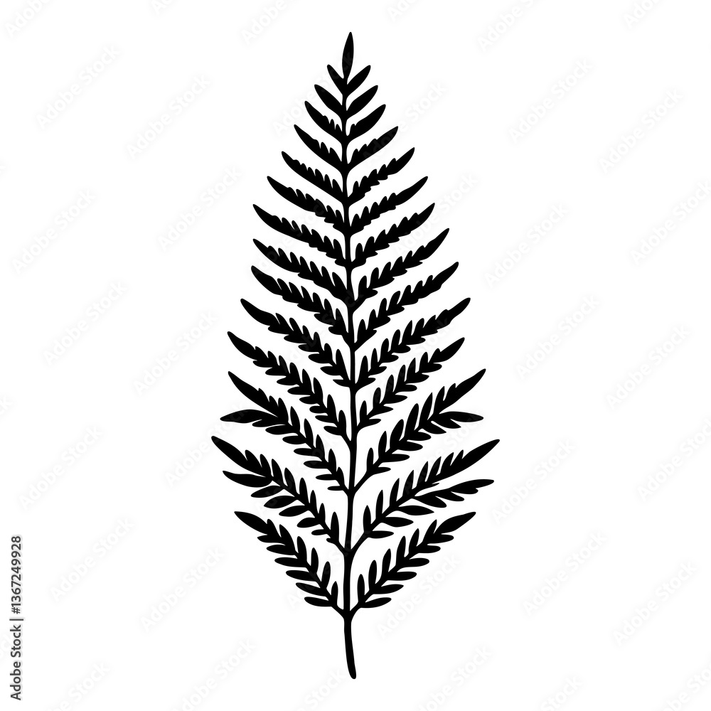 Black fern silhouette botanical illustration with intricate details and minimal nature inspired artistic design Black fern silhouette botanical illustration with intricate details and minimal nature inspired artistic design