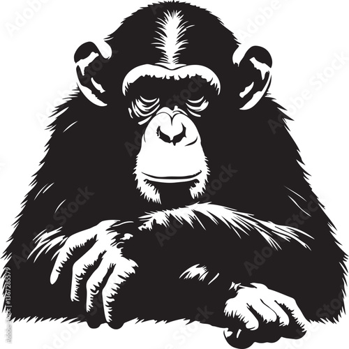 a chimpanzee vector 
