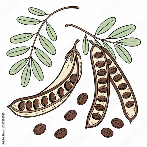 Delicate Carob Pods and Foliage Illustration in a Botanical Arrangement