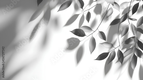Realistic blurred leaf shadow effect isolated on white background. blur branch leaves shadow. Plant foliage silhouette. Nature design element for spring summer, mockup for product presentation