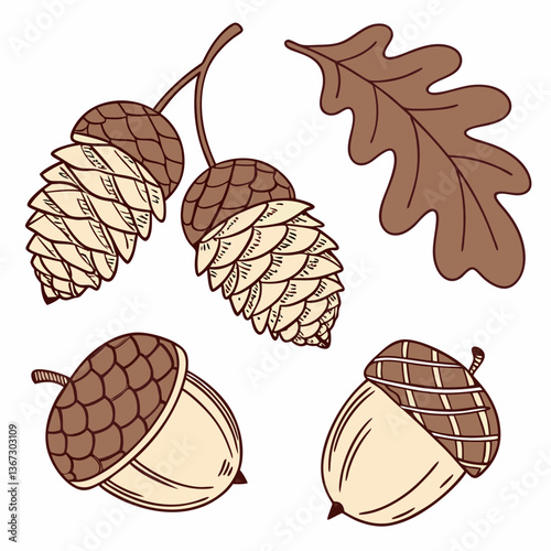 Autumnal botanical elements featuring acorns and oak leaf in a delicate illustration