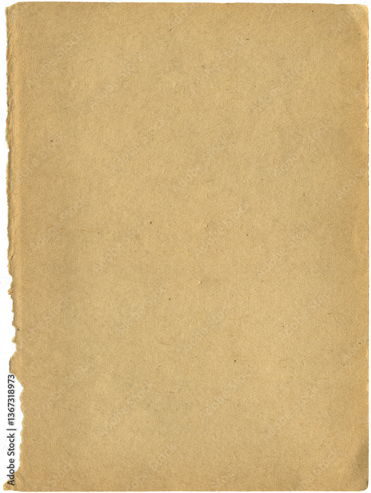 custom made wallpaper toronto digitalVintage warped paper. Realistic crumpled ripped paper scrap for background, scrapbooking, paper collage making