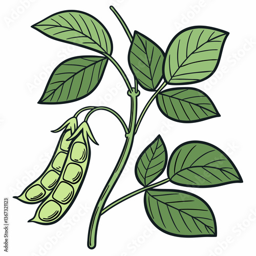 Illustrated Soybean Plant Depicting Healthy Green Leaves and Pods on a Vine