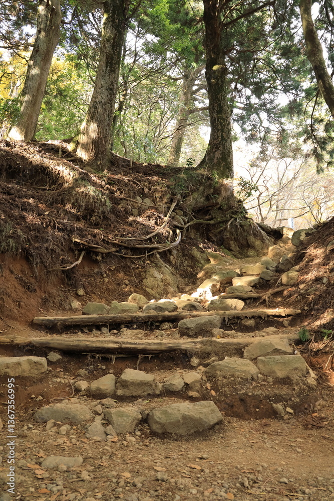Fototapeta premium 大山阿夫利神社から秋に登る大山の登山道 神奈川県伊勢原市