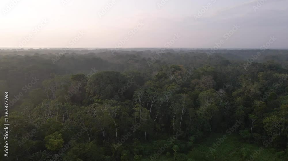 Aerial drone of a dense forested tree area, above the mist of Iquitos Amazon Perú Aerial drone of a dense forested tree area, above the mist of Iquitos Amazon Perú