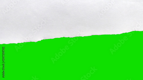 Ripped white paper isolated torn page on green background for chroma key