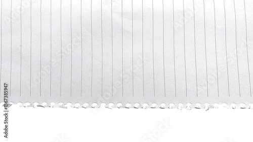 Ripped white paper pulled out from a ring notebook 