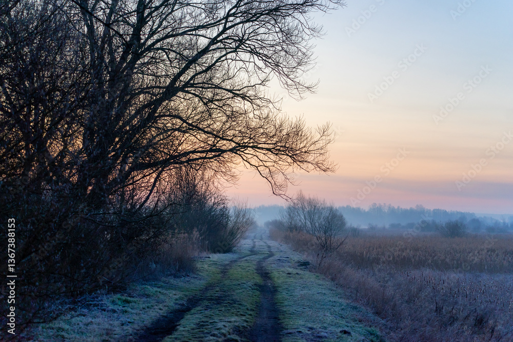 Poranek przed wschodem słońca, Podlasie, Polska
