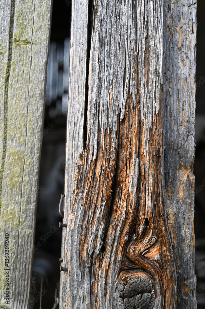 An aged wooden beam shows its weathered texture and rustic charm,