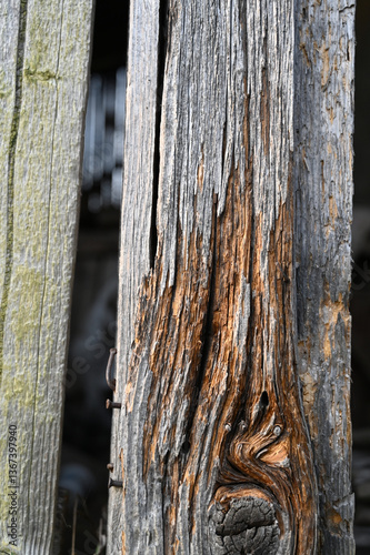 Obraz na płótnie An aged wooden beam shows its weathered texture and rustic charm, w salonie