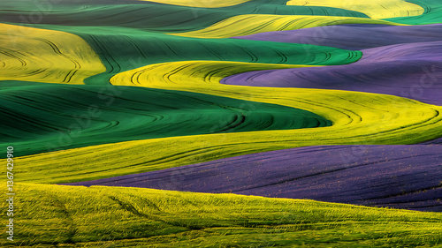 Colorful undulating fields; vibrant agricultural landscape; abstract nature scene