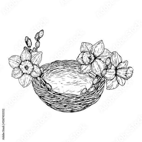 Vector illustration of an empty Easter nest decorated with blooming daffodils and pussy willow branches. Hand drawn ink in monochrome ink line art. Perfect for spring, 8 March and holiday designs.