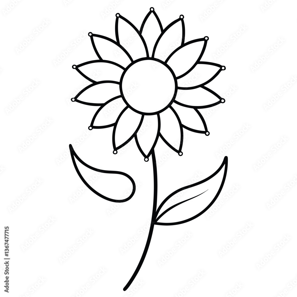 Flower Illustration Spring Vector