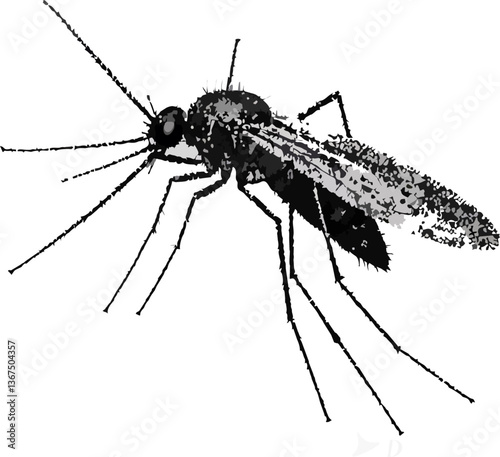 blood malaria mosquito illustration