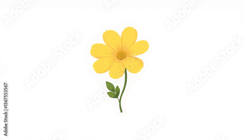 Delicate buttercup flower illustration on white background, simplicity