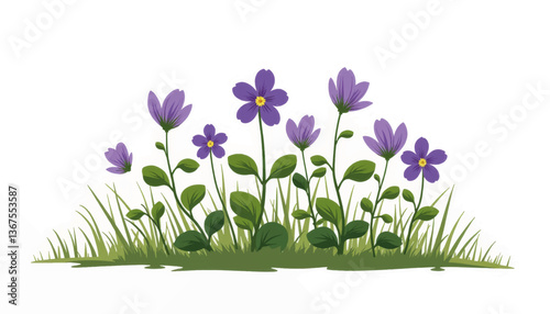 Wild violets cluster on white background, floral beauty and nature