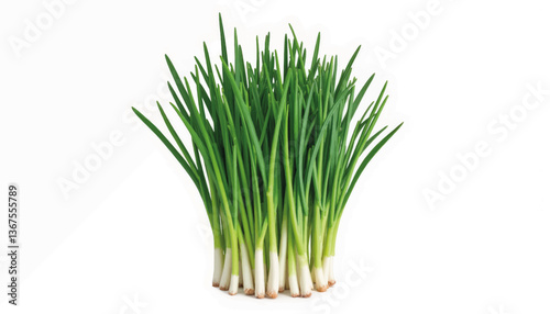 Vibrant cluster of chives on white surface, culinary freshness