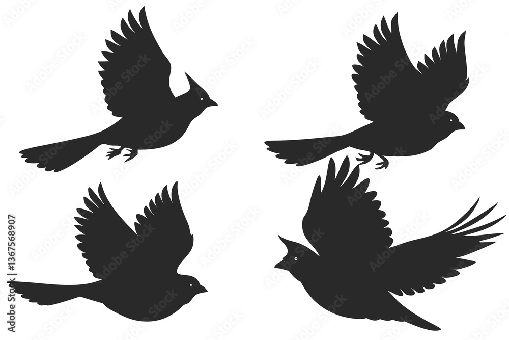 Obraz premium set of Cardinal silhouette vector illustration