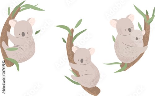 Cute koalas are sitting on a tree with leaves. A mother and a baby koala.